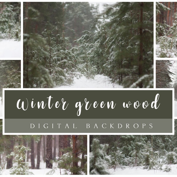 16 Winter Green wood digital backdrops