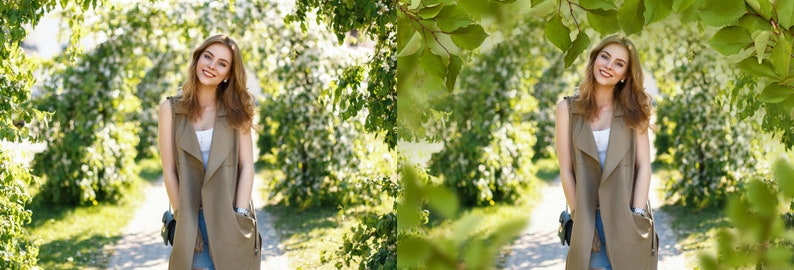 35 Tree branch photo overlays image 5