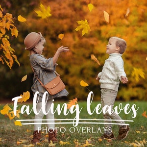 80 Falling Leaves Photo Overlays, Autumn overlays