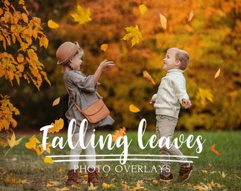 80 Falling Leaves Photo Overlays, Autumn overlays