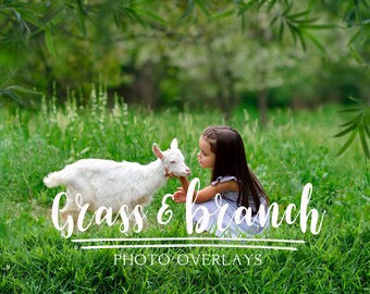 Grass and branch photo overlays