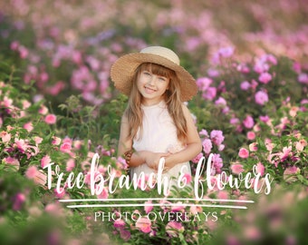 50 Foto-Overlays mit Ästen und Blumen