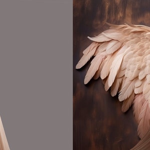 Blush wings maternity digital backdrops, Maternity studio backgrounds image 6