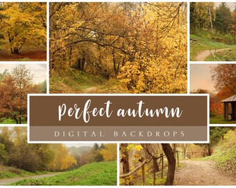 35 Perfect autumn digital backdrops