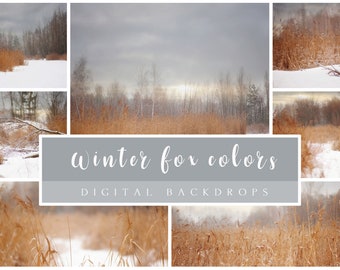 16 Winter digital backdrops FOX colors