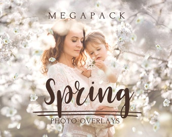 Frühlings-Megabundle-Foto-Overlays