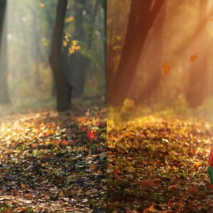 80 Autumn Megapack Photo Overlays, Rain Overlays, Fog Overlays, Falling ...