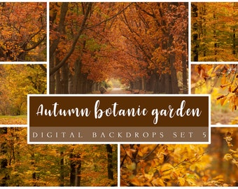 Autumn botanic garden digital backdrops set 5, Fall autumn backgrounds, autumn leaves