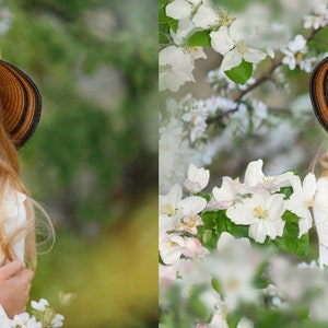 Apple blossom photo overlays, Spring overlays, Blooming tree photo overlays, Flowers photo overlays 画像 4