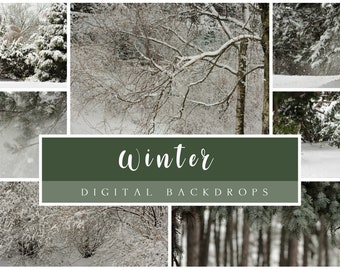 25 Winter digital backdrops, Winter forest, Snow backdrops