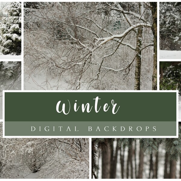 25 Winter digital backdrops, Winter forest, Snow backdrops