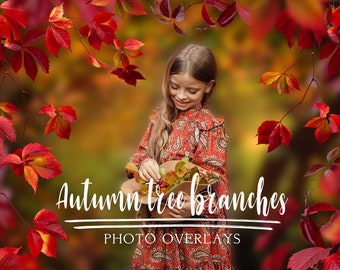 60 Autumn tree branches photo overlays, Fall autumn png overlays