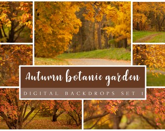 Ensemble de décors numériques de jardin botanique d'automne 1, arrière-plans d'automne d'automne, feuilles d'automne