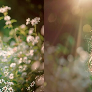 Fotoüberlagerungen mit natürlichem Licht Bild 6