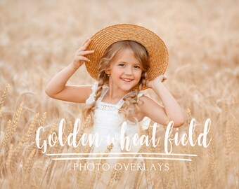 Golden wheat field photo overlays