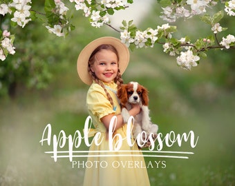 Apfelblüten-Foto-Overlays, Frühlings-Overlays, blühende Baum-Foto-Overlays, Blumen-Foto-Overlays