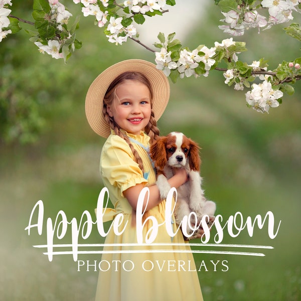 Apple blossom photo overlays, Spring overlays, Blooming tree photo overlays, Flowers photo overlays