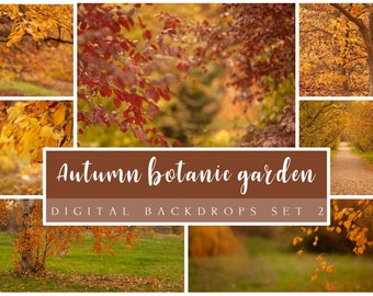 Autumn botanic garden digital backdrops set 1