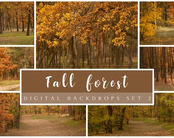 Fall forest digital backdrops set 2, Autumn digital backgrounds