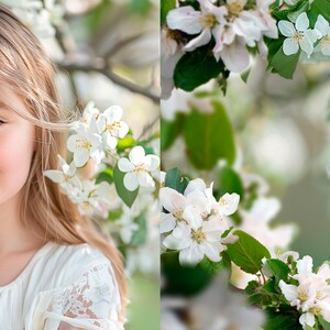 Apple blossom photo overlays, Spring overlays, Blooming tree photo overlays, Flowers photo overlays 画像 2