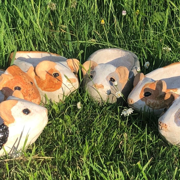 Guinea pig planter or soap dish for the windowsill