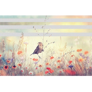 Privacy film window film for kitchen living room motif &quot;flower meadow&quot; + bird Opaque 57cm high privacy film window various widths