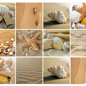 Könnte beinhalten: Eine Collage aus neun Bildern mit verschiedenen Strandmotiven, darunter Muscheln, Seesterne, Holzh Herzen und Fußabdrücke im Sand.