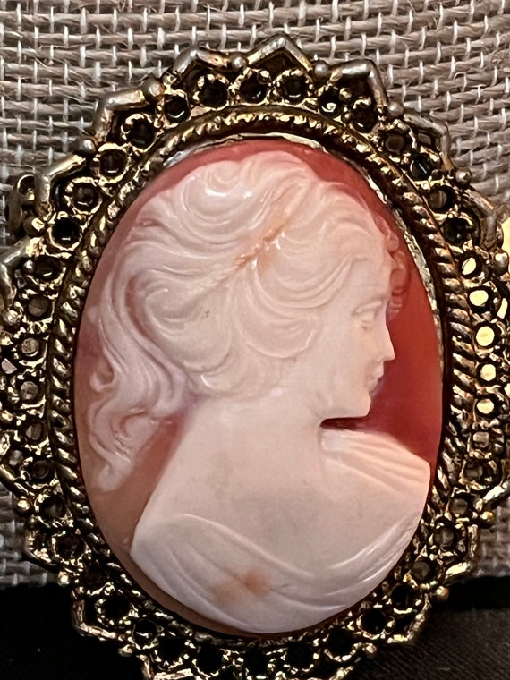 Vintage cameo brooch- Our Lady of the Snows resin 