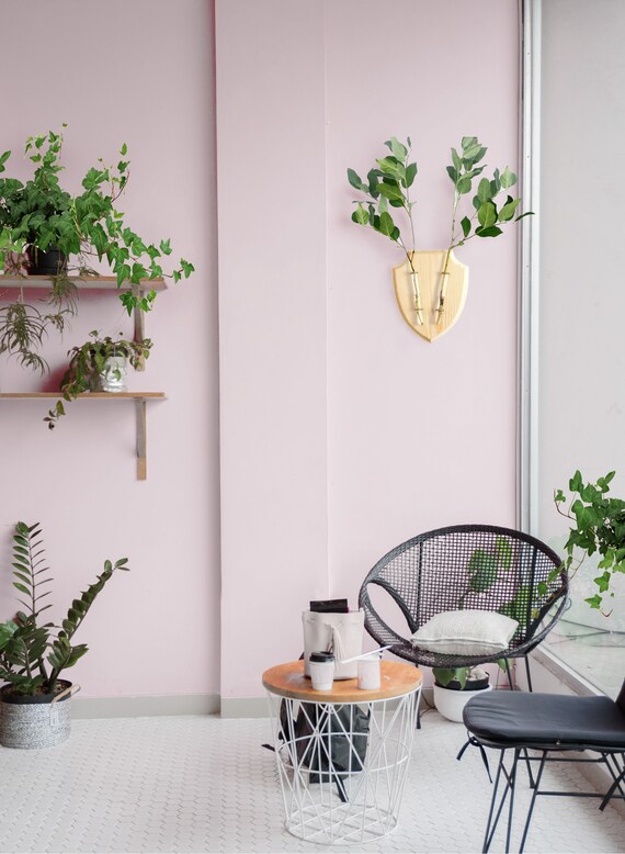 Hanging Wall Vase Modern Planter - Hanging Wall Vase Hanging Wall Vase Modern Planter - Hanging Wall Vase