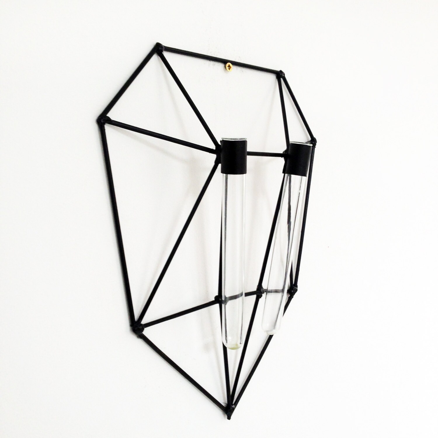 Test Tube Wall Vase Wall Decor Minimalist Vase Metal Vase Etsy