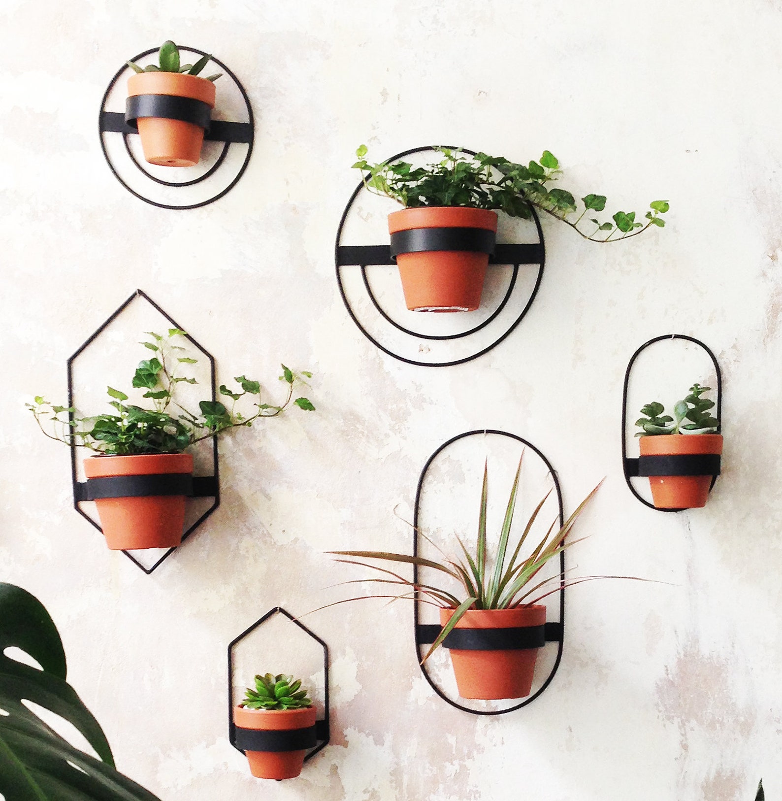 2 Wall Planters Round Metal Planter Black Hanging Planter Etsy