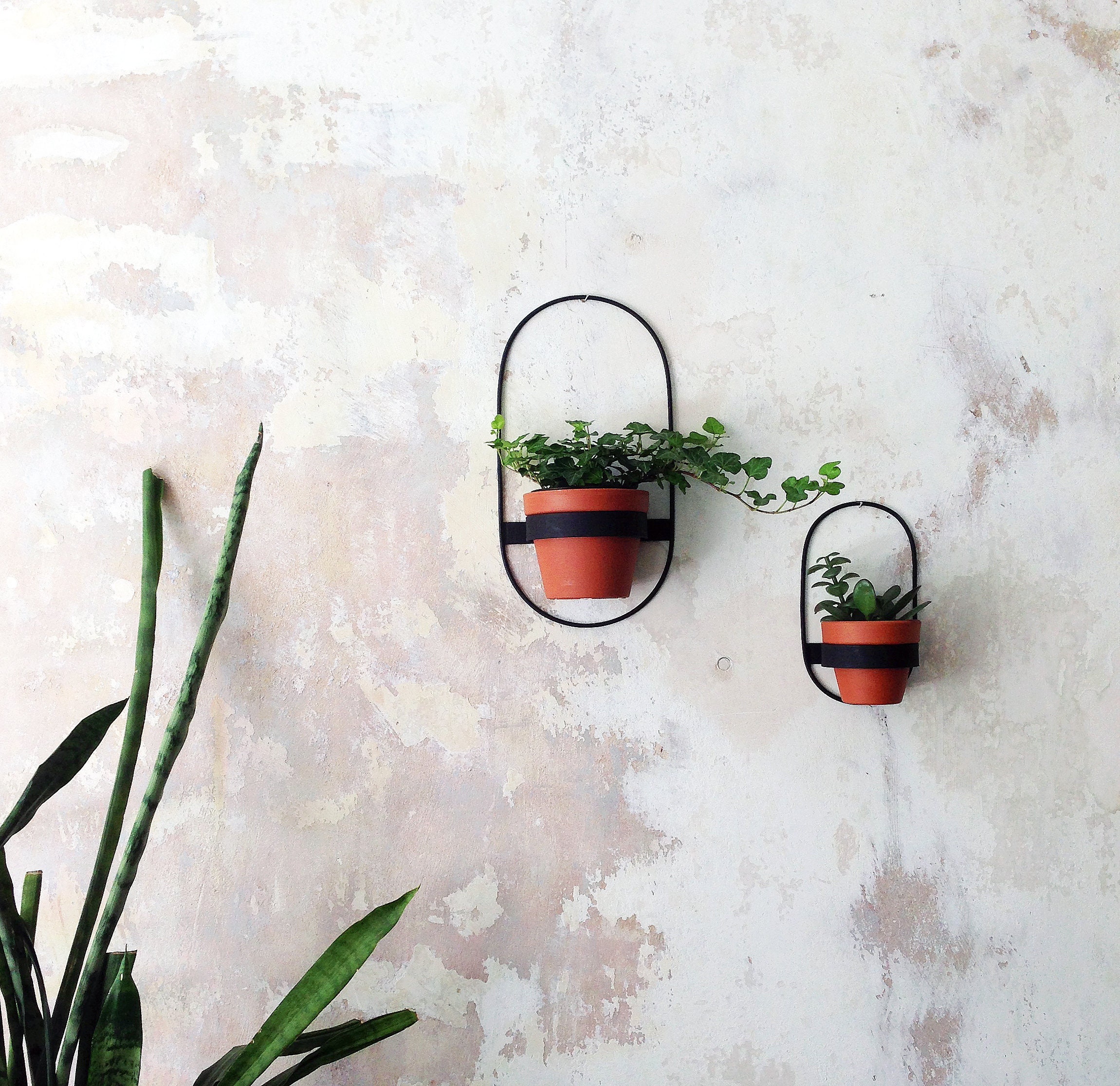 2 Wall Planters Geometric Shape Planter Black Hanging Etsy