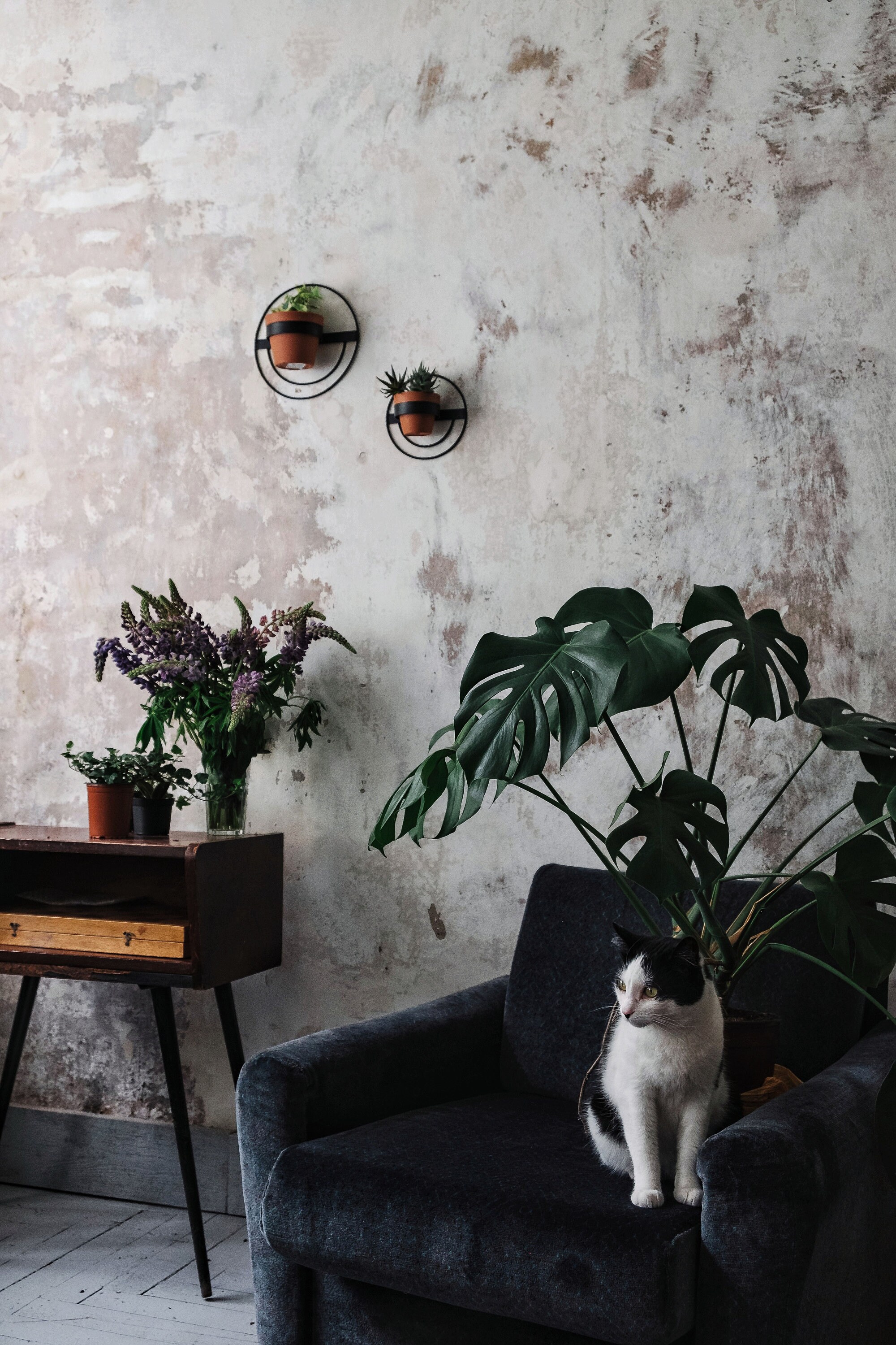 2 Wall Planters Round Metal Planter Black Hanging Planter Etsy