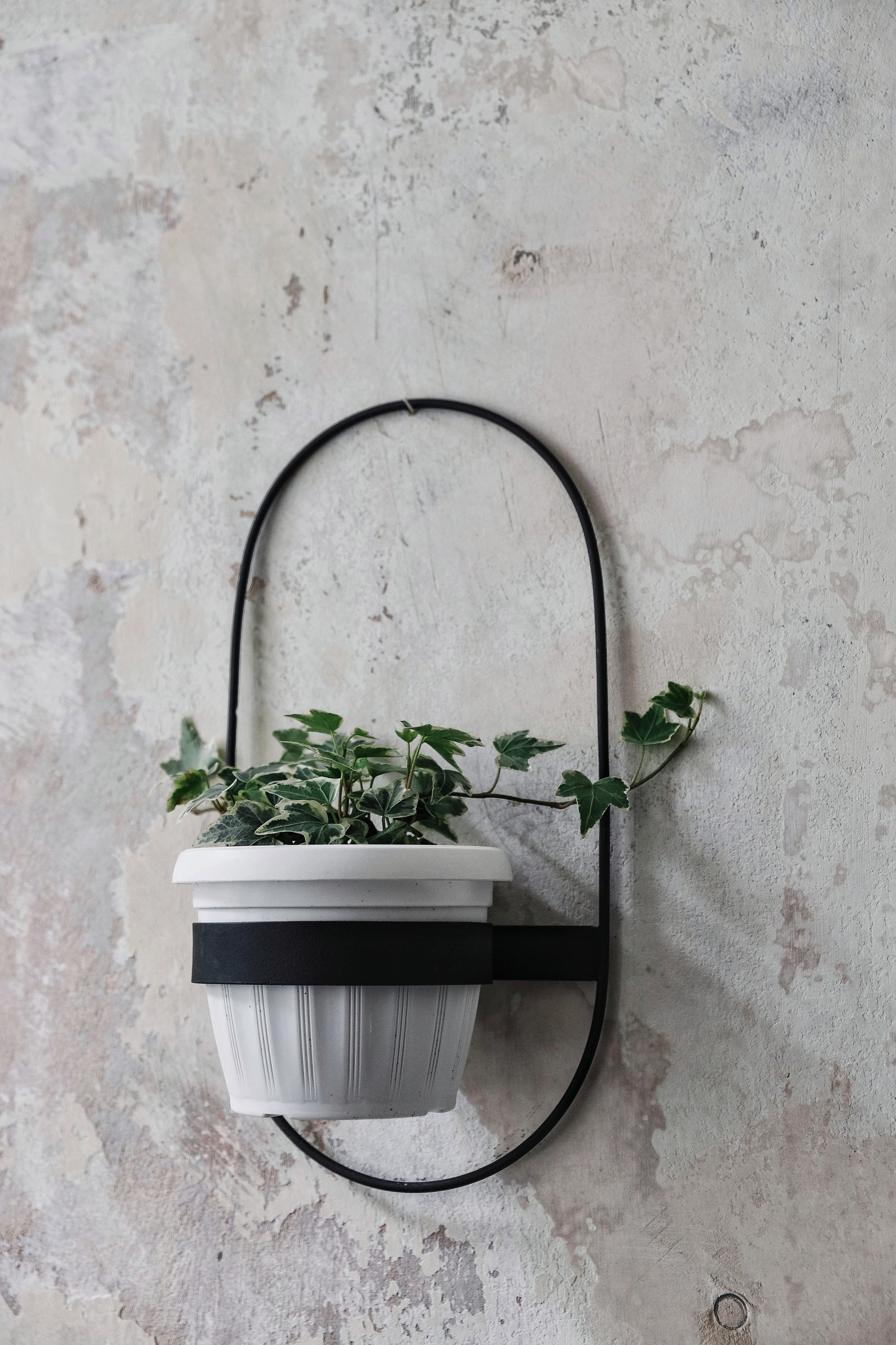 2 Wall Planters Geometric Shape Planter Black Hanging Etsy