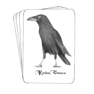 Oráculo del Cuervo (13 cartas de estilo nórdico o brujo)