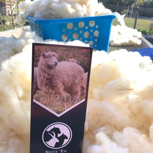 May include: A close-up of a pile of white sheep wool with a blue plastic basket in the background. A black and white brochure with the text "Shave 'Em to Save 'Em" is in the foreground.