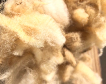 Florida Cracker Raw Wool Florida Raised , 4oz #SE2SE