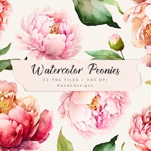 Aquarell Pfingstrosen Clip Art Pack, Blumen Clipart, Aquarell rosa Pfingstrose, Planer Aufkleber, Hochzeit, botanische png, Download