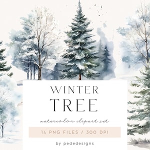 Winter Tree Clipart, scenario invernale ad acquerello, paesaggio ad albero, pino invernale, grafica png invernale, foresta, bosco invernale, download