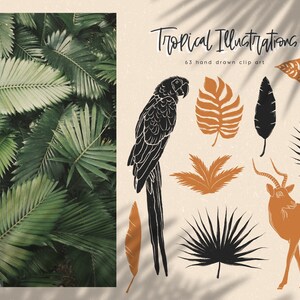 May include: A set of 63 hand-drawn tropical illustrations, including a parrot, leaves, and an antelope. The illustrations are in black, brown, and orange on a beige background.
