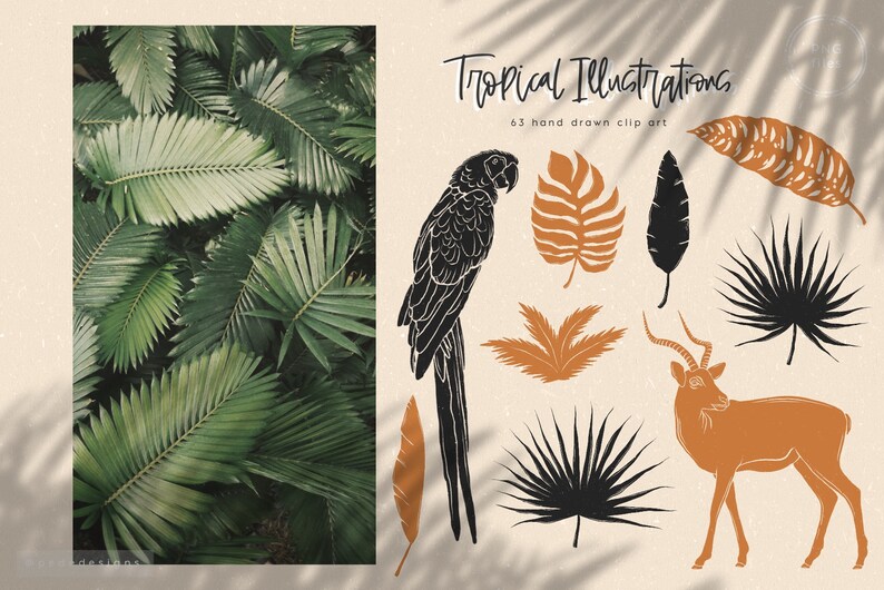 May include: A set of 63 hand-drawn tropical illustrations, including a parrot, leaves, and an antelope. The illustrations are in black, brown, and orange on a beige background.