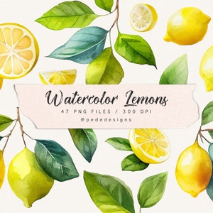 Watercolor lemon clip art, citrus clipart, lemons illustration, summer graphics, watercolor lemons, food png, citrus wedding, download