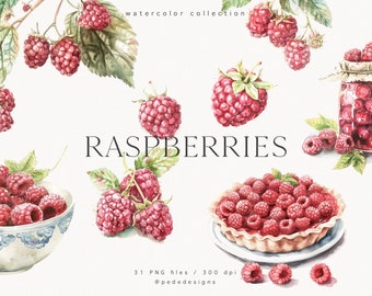 Clipart framboises, clipart nourriture aquarelle, clipart fruits, légumes, smoothie, gâteau, clipart dessert, graphiques d'été aquarelle, téléchargement