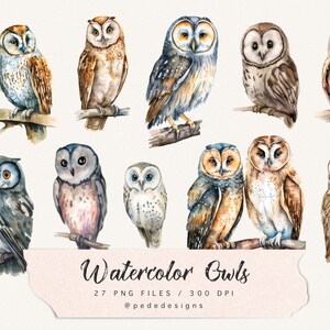 Watercolor owls clip art, boho png, fantasy clipart, bird png, nature clip art, mystical, woodland art, owl illustration, download image 2