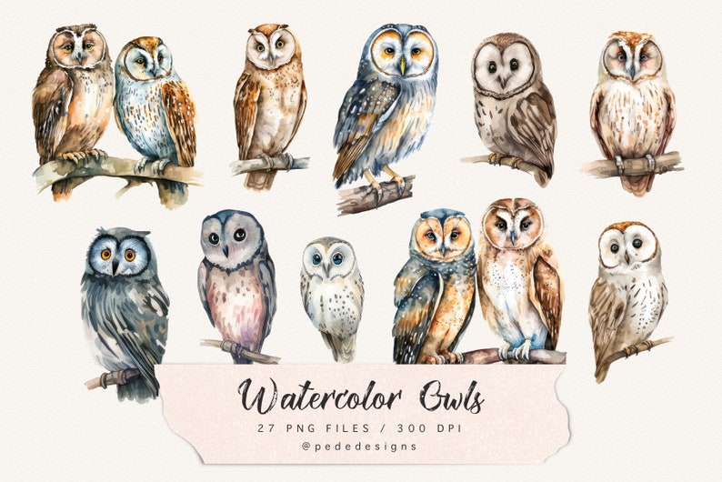 Watercolor owls clip art, boho png, fantasy clipart, bird png, nature clip art, mystical, woodland art, owl illustration, download image 2