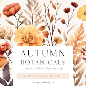 Botânicos de outono, clipart de outono em aquarela, flores, folhas e galhos de outono, jardim de outono, adesivos de planejador, floral de outono png, baixar
