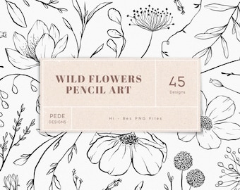 Wild flowers illustrations, meadow clip art, hand drawn flowers clipart, wedding, logo elements, sketch wild flower, botanical, download