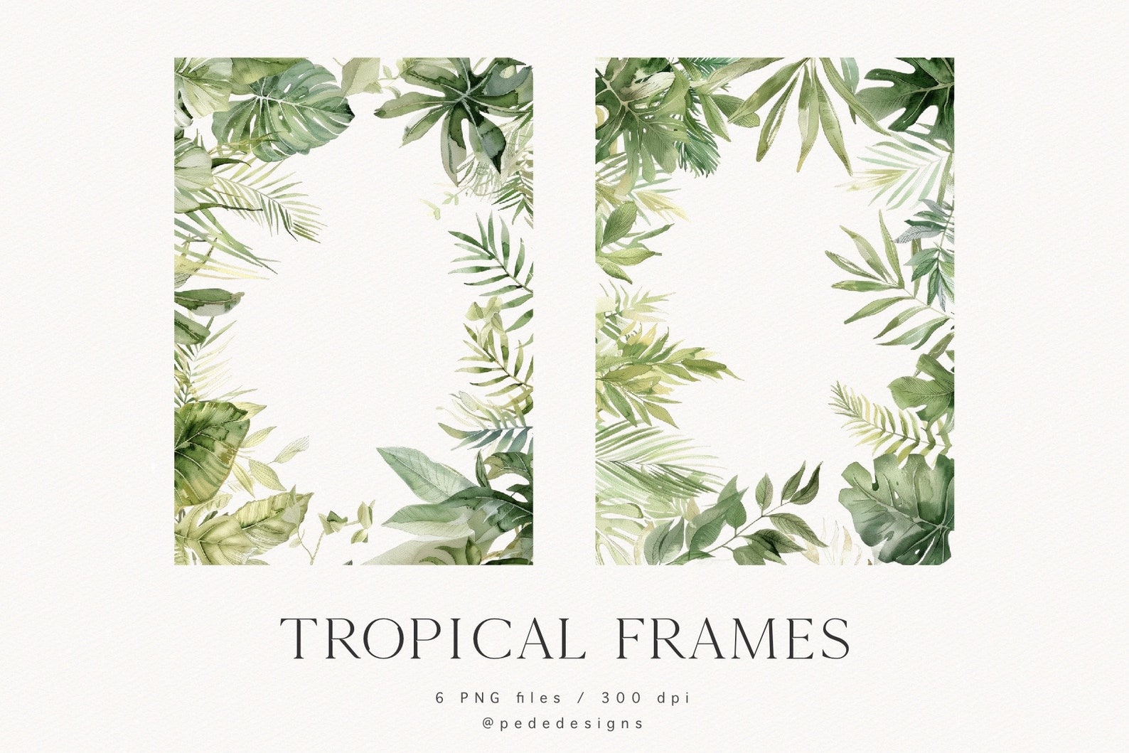 Tropical Frames, Watercolor Clipart, Exotic Cliparts, Tropical Elements ...