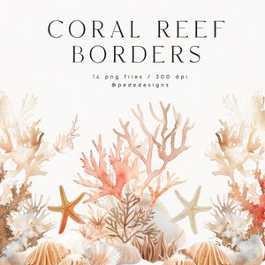 Bordes de arrecifes de coral, imágenes prediseñadas marinas de acuarela, gráficos png oceánicos, imágenes prediseñadas submarinas, verano, estrellas de mar, conchas marinas, imágenes prediseñadas tropicales, descargar