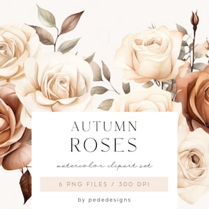 Roses d'automne, fleurs à l'aquarelle, fleurs de jardin, roses ivoire, autocollants pour agenda, bouquet d'automne, clipart prédéfini, png mariage, téléchargement
